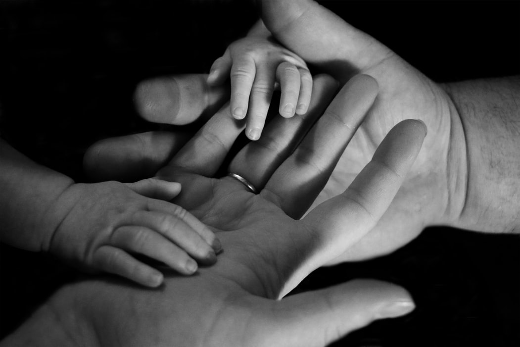 Family Law Family Law