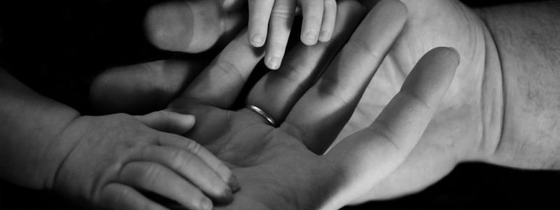 Family Law Family Law
